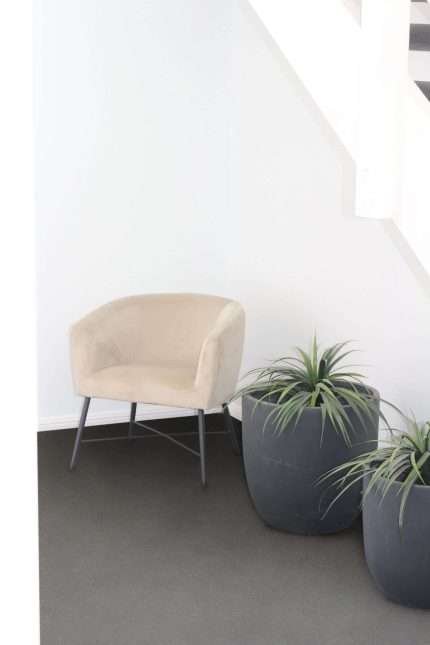 Crewe Accent Chair in soft nougat velvet near potted plants